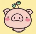 🐽
