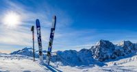🎿 