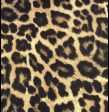 🐯 Sauvage 🐯