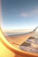 ✈️✨