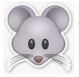 MOUSE TIME