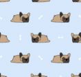 🐶💤