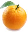 🍊 Succo di Orange 🍊 