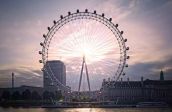 🎡London Eye🎡